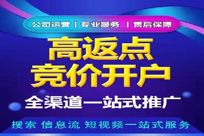 案例分析：SEM托管服务助力电商销量倍增
